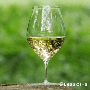 neomina Kimura Style Short Stem Wine Glasses – Set of 2 Elegant Crystal Tumblers