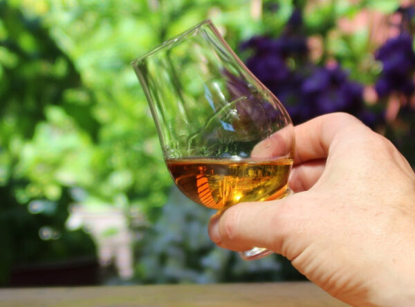 neomina Classic Whiskey Tasting Glass – Set of 1 Premium Crystal - Image 3