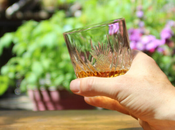neomina Scottish Thistle Tumblers – Set of 2 Elegant Glasses - Image 4